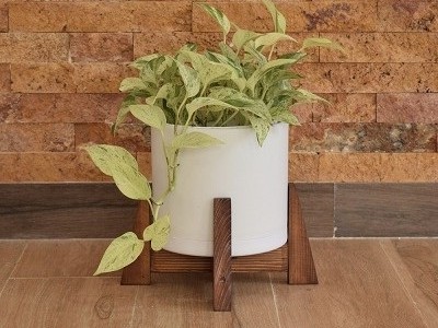 استند و گلدان مدل یاس 2