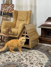 لانه چوبی سگ و گربه خانگی gallery3