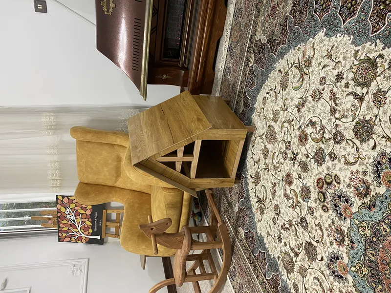 لانه چوبی سگ و گربه خانگی gallery7